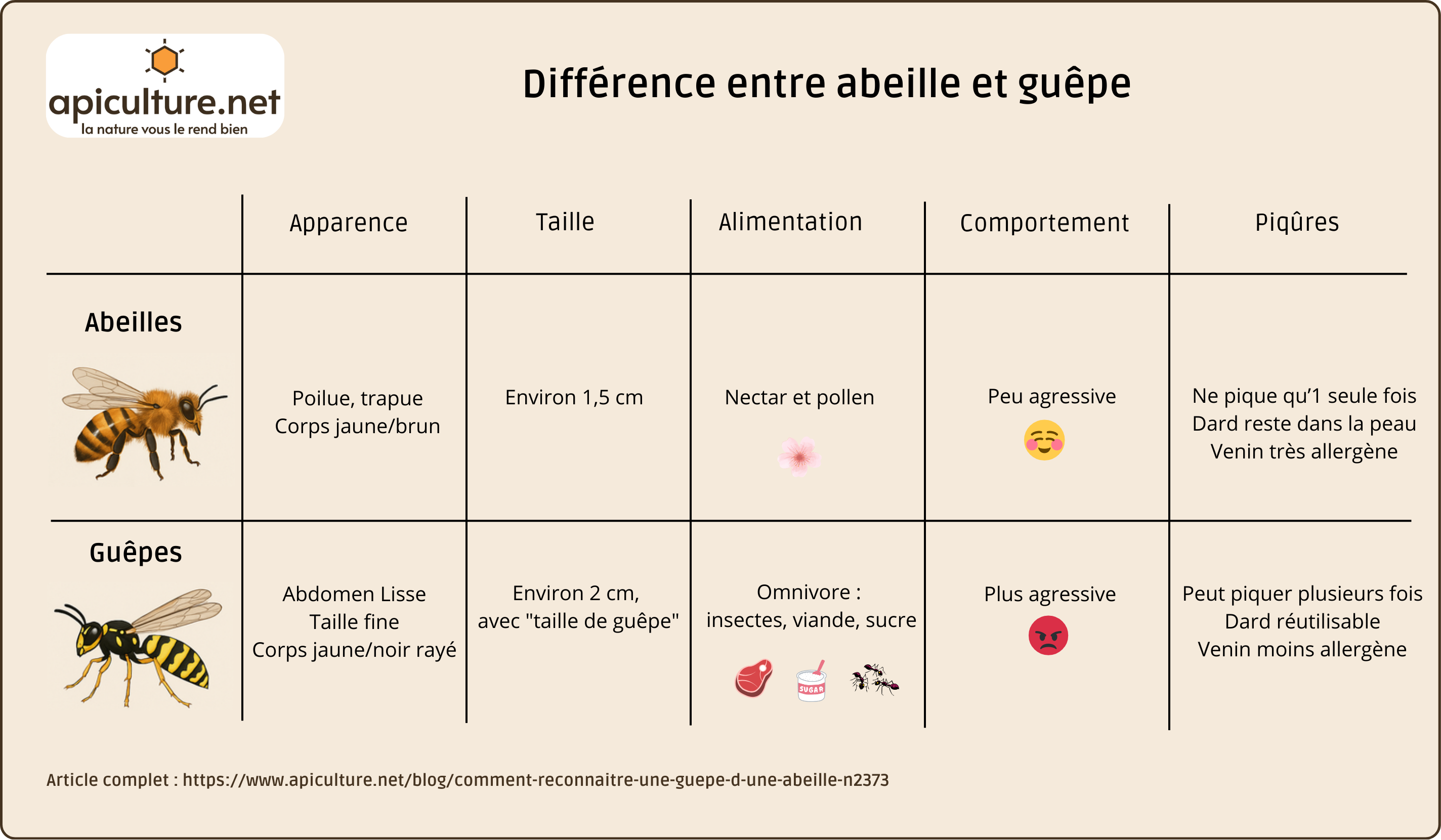 difference abeille guepe